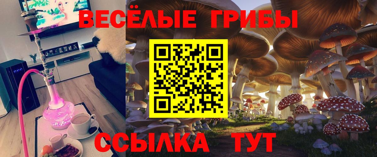 Псилоцибиновые грибы Cubensis  Вход с VPN  Асбест 